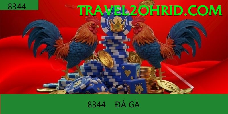 Đá Gà Trực Tiếp - Trải nghiệm tuyệt vời